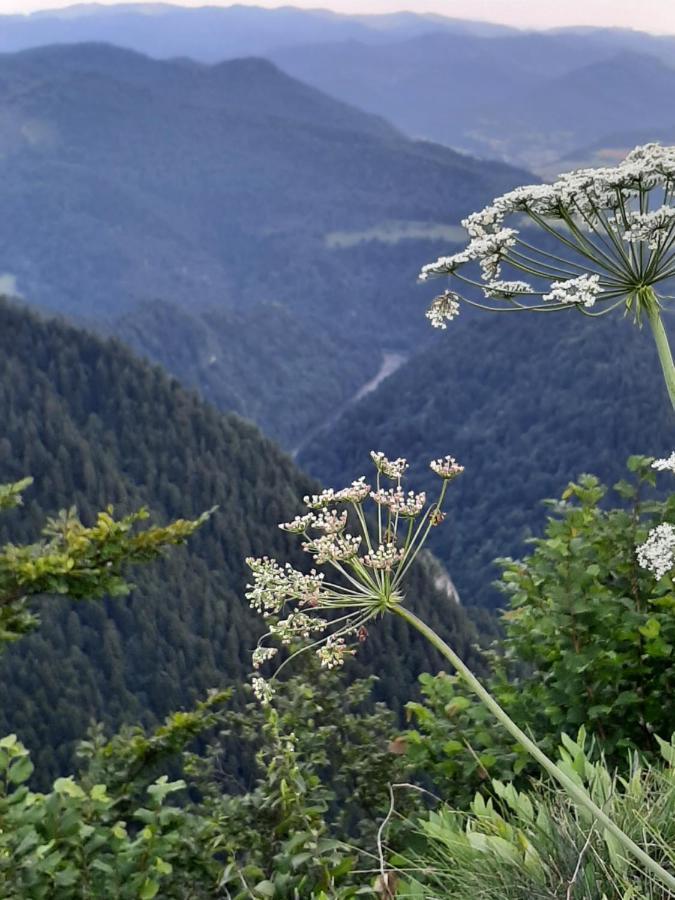 Krasna Chata Maniowy Exteriér fotografie
